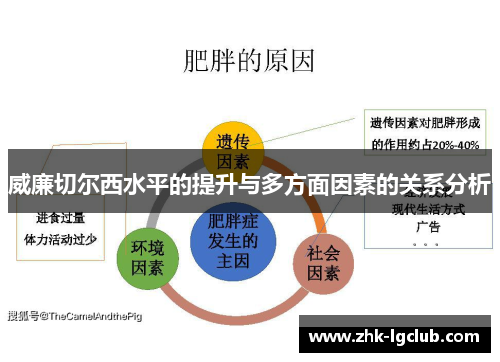 威廉切尔西水平的提升与多方面因素的关系分析