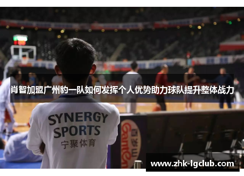 肖智加盟广州豹一队如何发挥个人优势助力球队提升整体战力