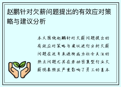 赵鹏针对欠薪问题提出的有效应对策略与建议分析